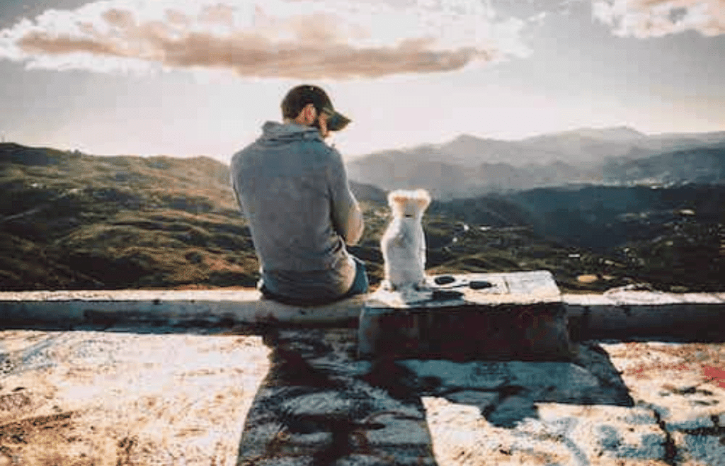 man sitting with dog looking at skyline