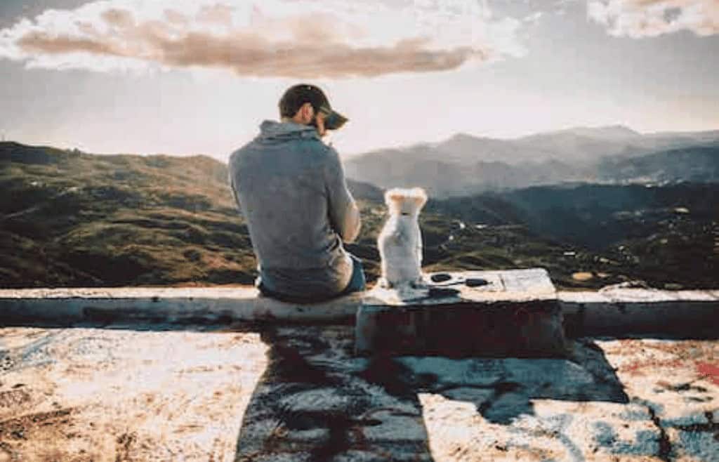 Pet and man
